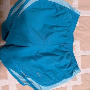 Nike Blue Athletic Shorts